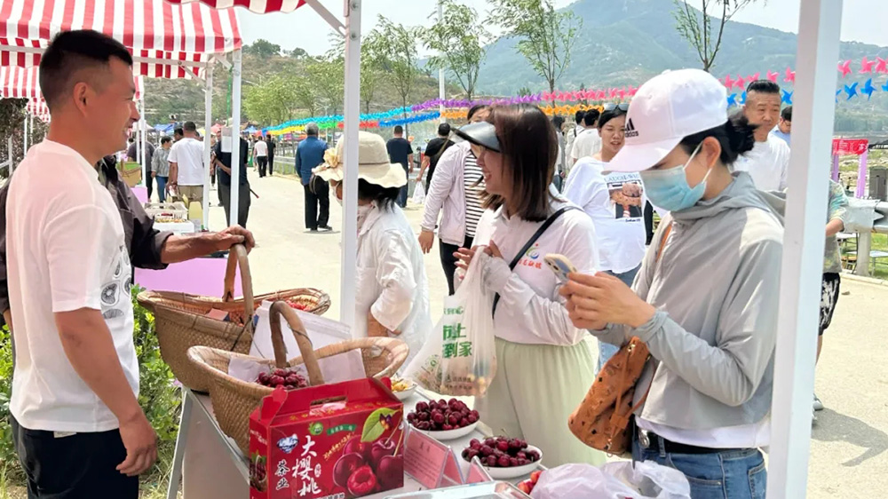 2024第十七届济南·莱芜樱桃文化旅游节展区.jpg