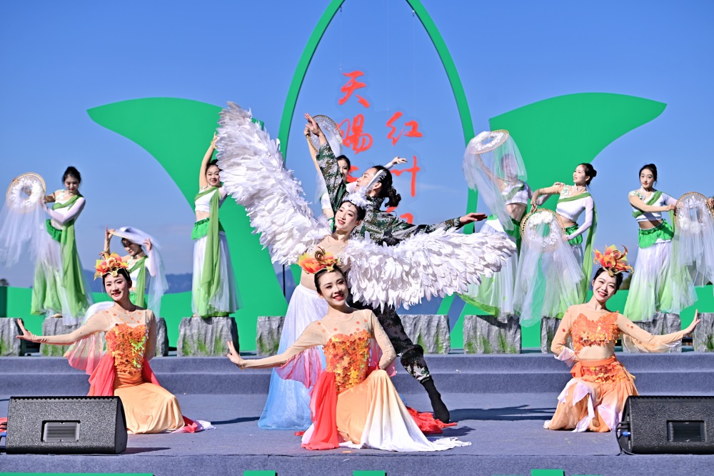 2024年四川省生态旅游节文艺展演.JPG