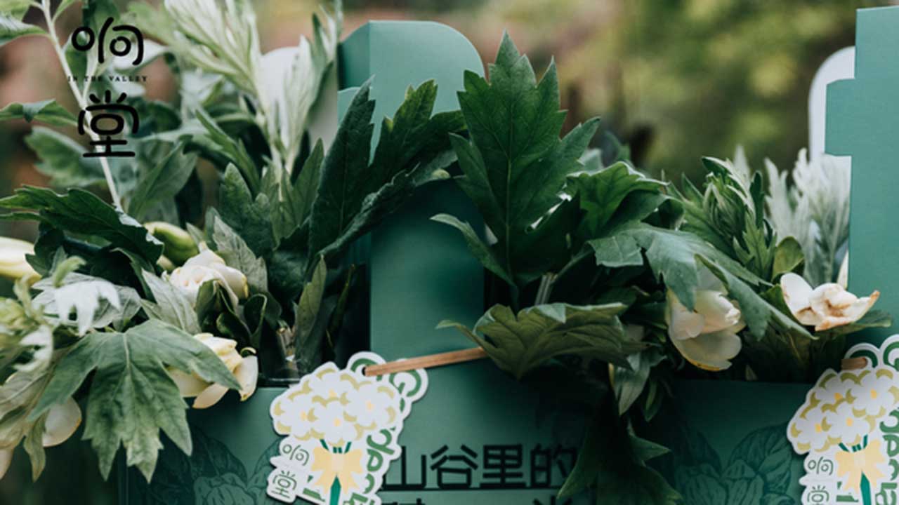 响堂栀子花.jpg