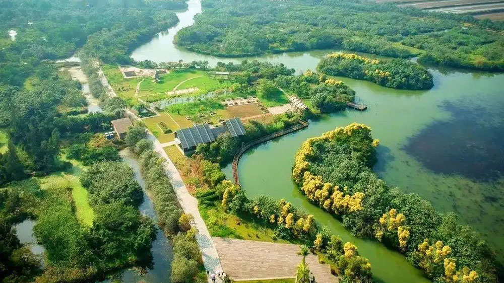 广州：南沙区召开创建全域旅游示范区动员大会，奋力开创全域旅游发展的新局面！