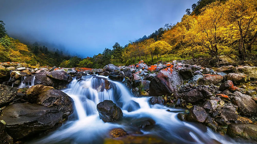 喇叭河景区.jpg