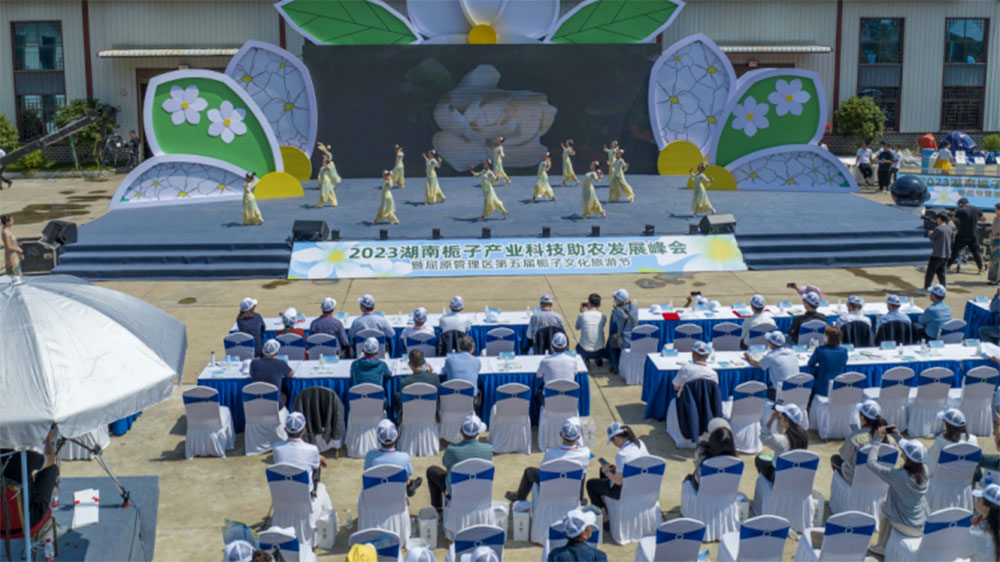 湖南：屈原管理区第五届栀子文化旅游节开幕，促进农文旅融合发展，赋能乡村振兴！